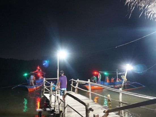 ボホール島 ホタル鑑賞プライベートツアー ロアイ川またはアバタン川＜夕食お弁当付き／英語ガイド／ホテル送迎付き＞