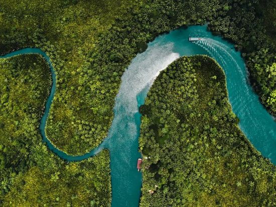 Bohol Loboc River Sunset and Firefly SUP Tour5