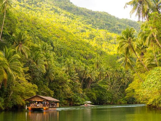 Bohol Loboc River Sunset and Firefly SUP Tour2