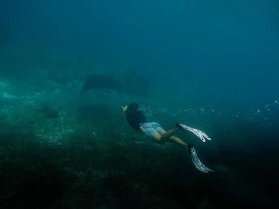 Full Day Trip 6 Destinations Speed Boat From Komodo10