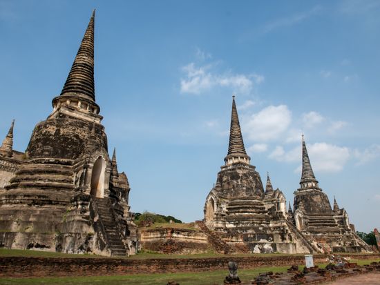 DSC_8732 (1)