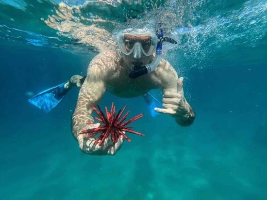 epic_maui_snorkel07