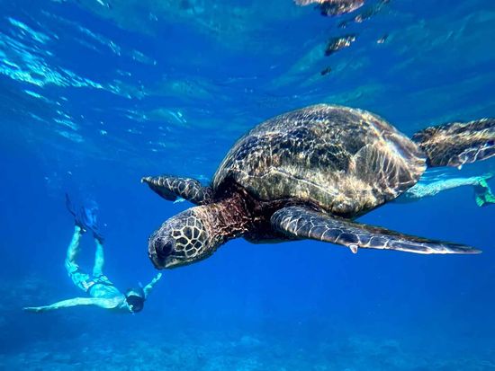 epic_maui_snorkel04