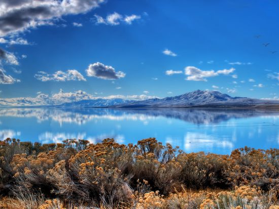 Day Tour Great Salt Lake & Antelope Island-Great-Salt-Lake-2