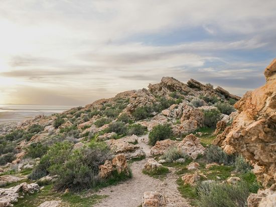Day Tour Great Salt Lake & Antelope Island-View