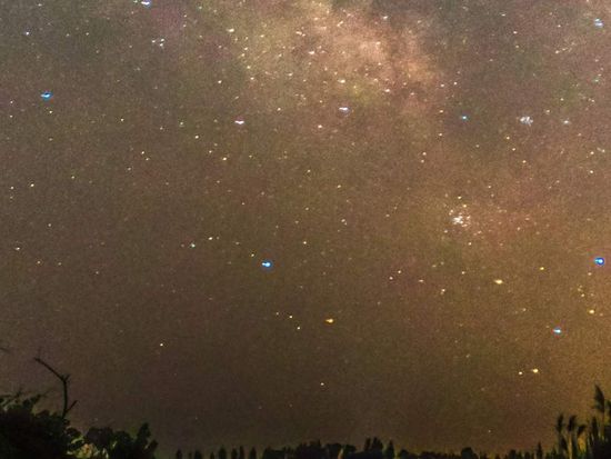 Day Tour - Antelope Island Dark Sky-4