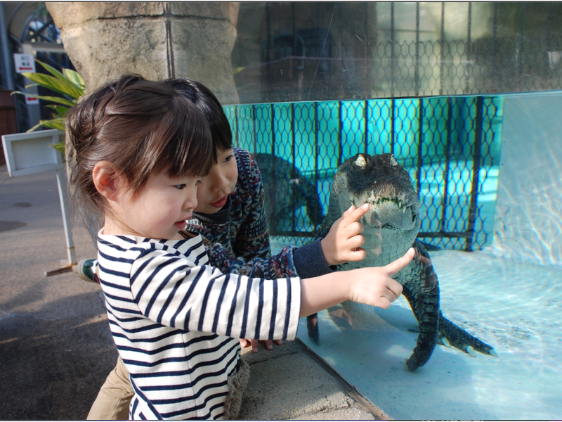 071026_Mayumi1