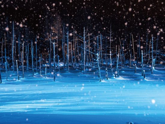 furano_winter002