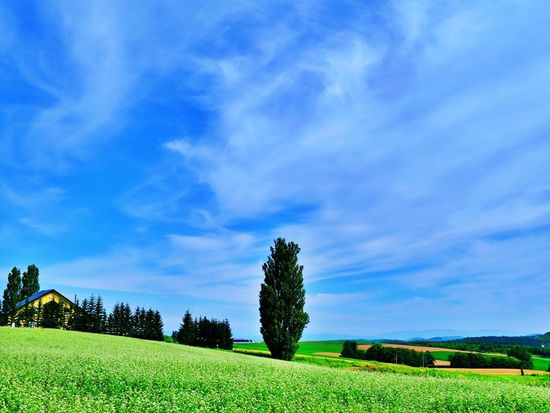 pixta_135994043_M