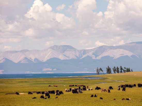 Mongolia_Khuvsgul Lake_pixta_117538933