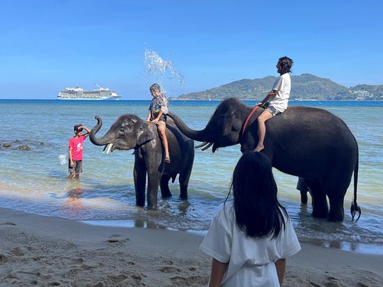 elephant2