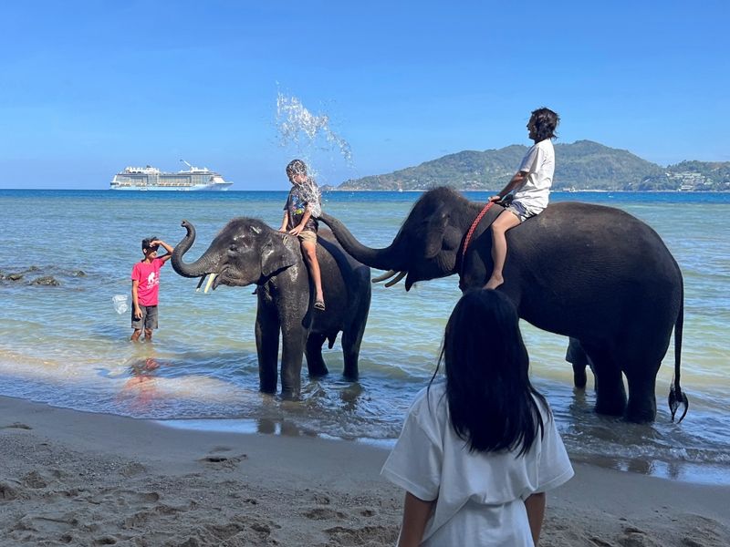 elephant2