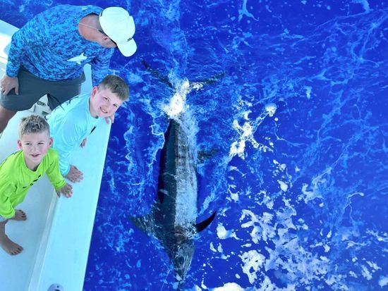 seababyiii_marlin