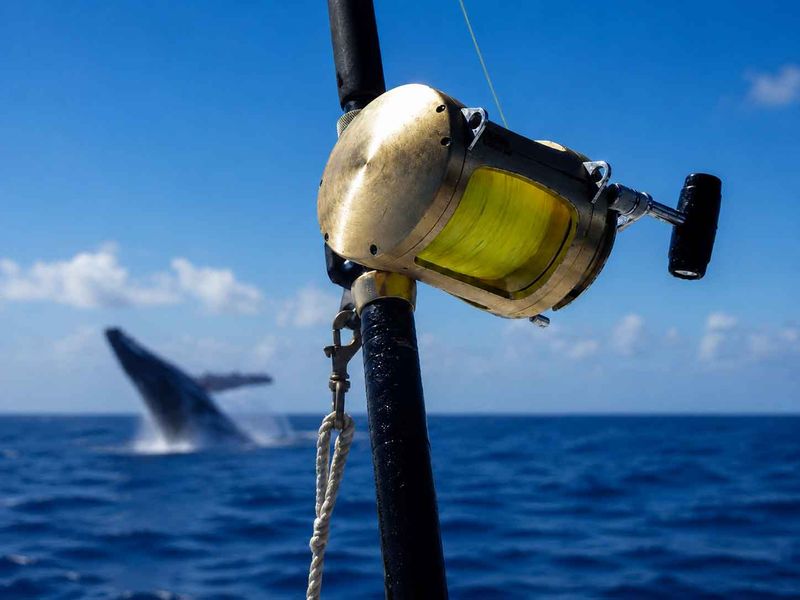 ohana_fishing05