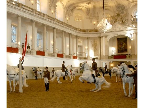 ウィーン　スペイン乗馬学校（スペイン式宮廷馬術学校）馬術調教見学＜1時間／英語＞
