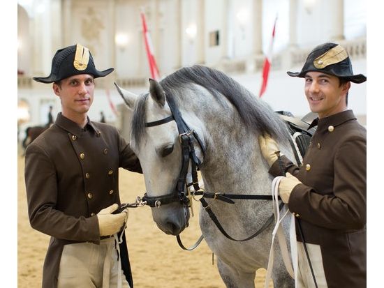 ウィーン　スペイン乗馬学校（スペイン式宮廷馬術学校）馬術調教見学＜1時間／英語＞