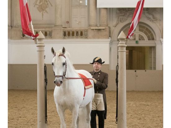 ウィーン スペイン乗馬学校（スペイン式宮廷馬術学校） 馬術ショー見学チケット