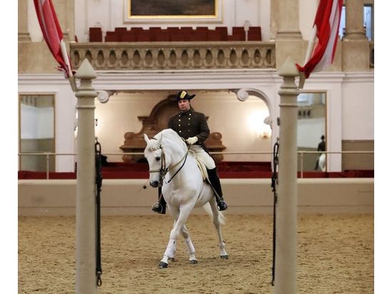 ウィーン スペイン乗馬学校（スペイン式宮廷馬術学校） 馬術ショー見学チケット