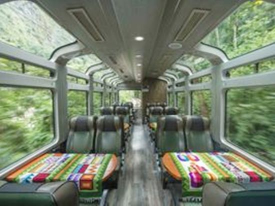 Peru Rail4163-inside