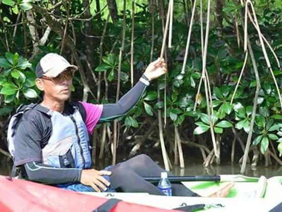 マングローブカヌーツアー 天然記念物指定の沖縄本島最大級マングローブ林をカヌーで自然探検！お子様と二人乗りOK！＜選べるコース／東村＞