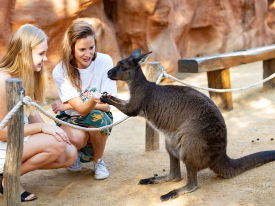 ac44ba97-c287-4f07-978a-01dbcef78ce2_img_1765793407_1765793360__wildlifezoosydney.jpg