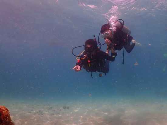 lgtbdive7