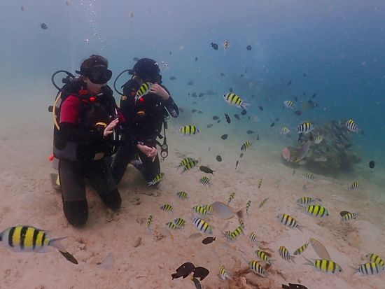 lgtbdive1