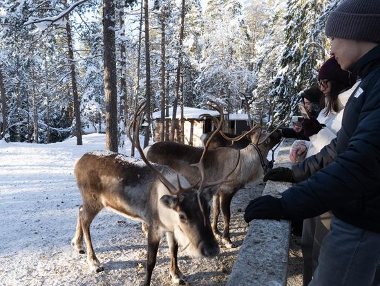 ReindeerPark-Winter