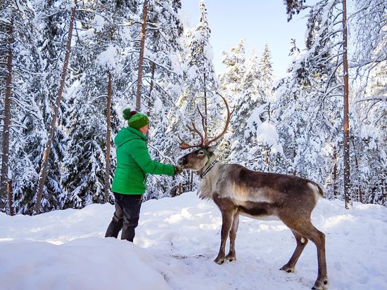 ReindeerPark-Winter4