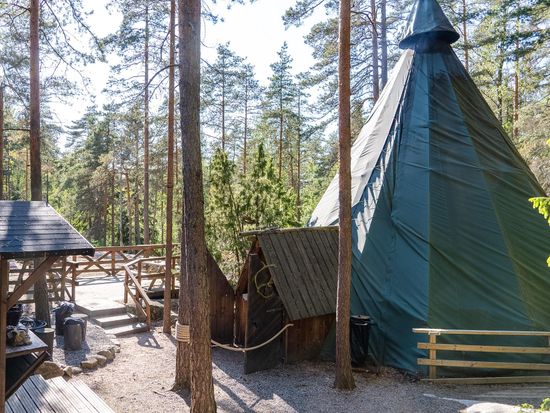 Lappish Kota
