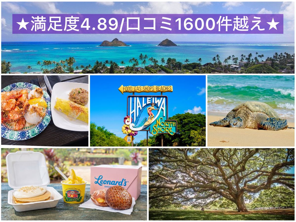 口コミ1600件超！満足度4.89】最大7名限定！カイルア＆ノースショア
