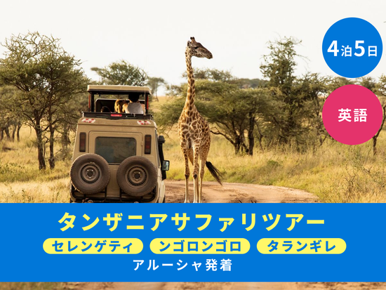 サバンナでサファリ体験 | アフリカ 旅行の観光・オプショナルツアー