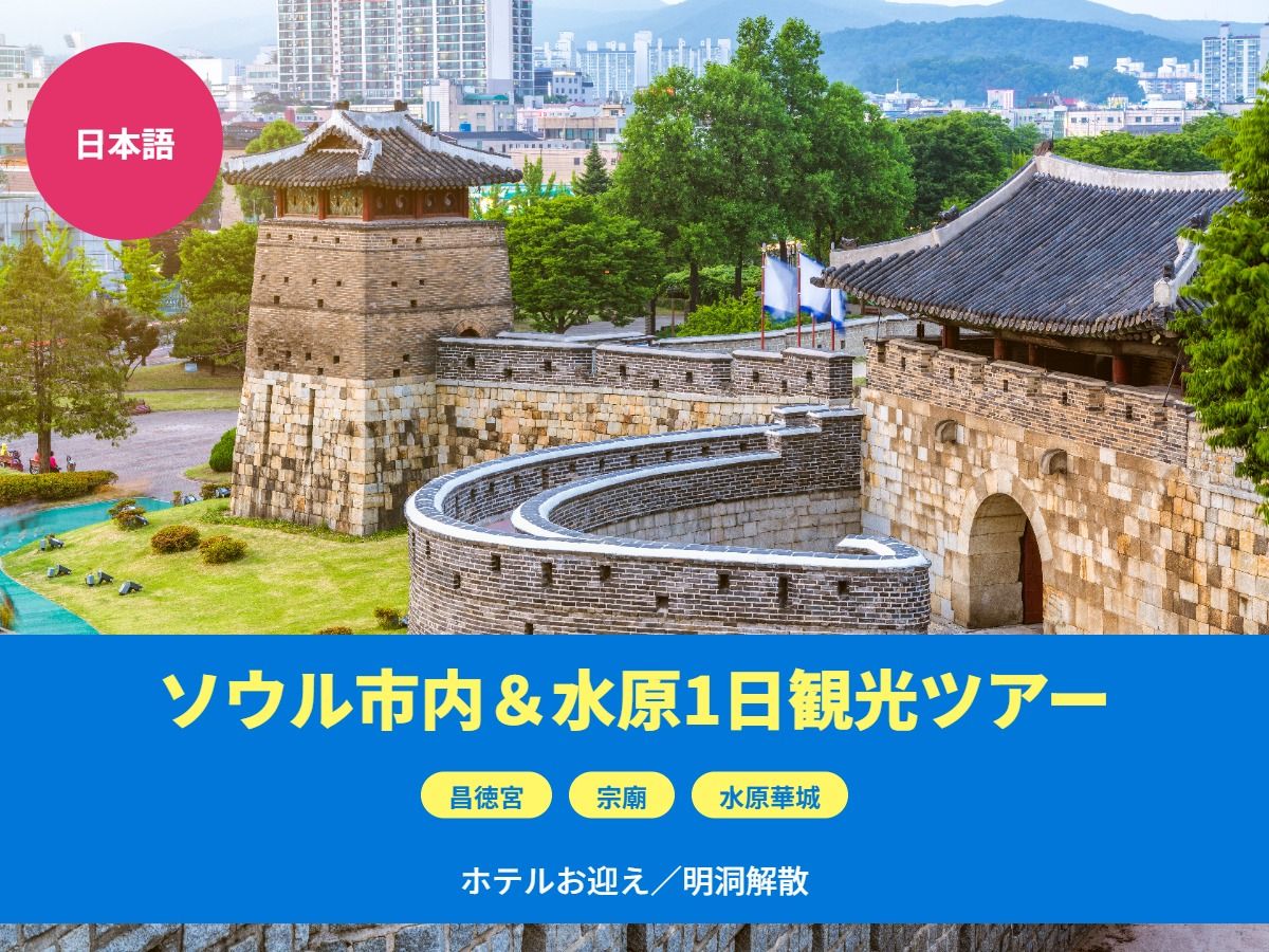 ソウル市内＆郊外1日観光ツアー 韓国の世界遺産巡り！昌徳宮（チャン