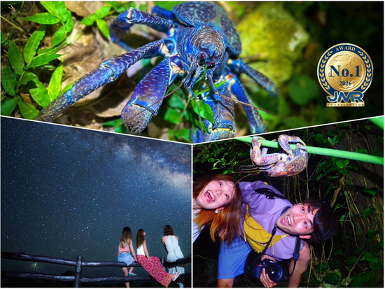 参加者数全国No.1！星空鑑賞＆ジャングルナイトツアー 星空保護区認定