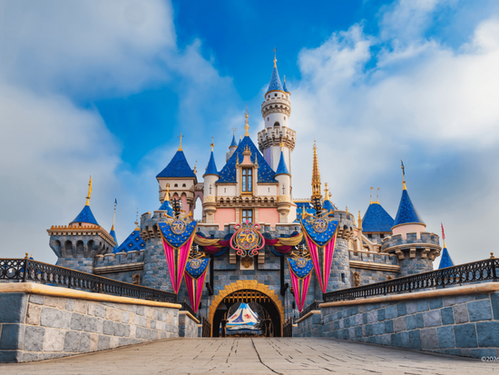 カリフォルニア ディズニーランド・リゾート（Disneyland Resort）入園