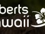 roberts hawaii pearl harbor tour
