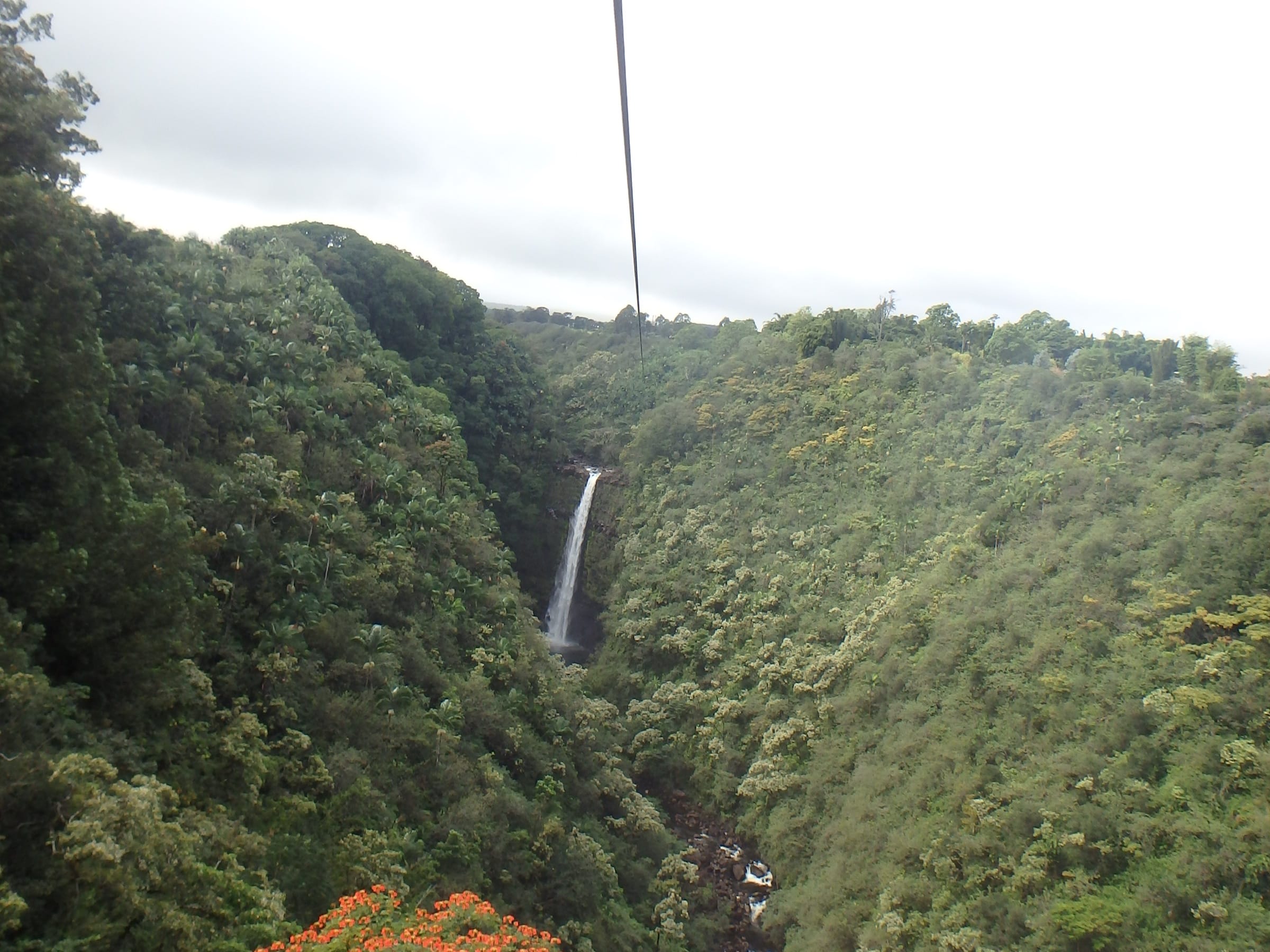 Zipline Adventures Book Big Island Tours Activities Things To Do   20141209034336 1046047737 0 