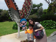 beatiful butterfly garden