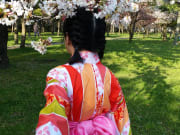 大阪城櫻花滿開