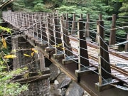 進入森林的第一條橋