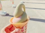 掃帚草冰淇淋