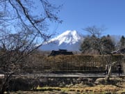 忍野八海富士山