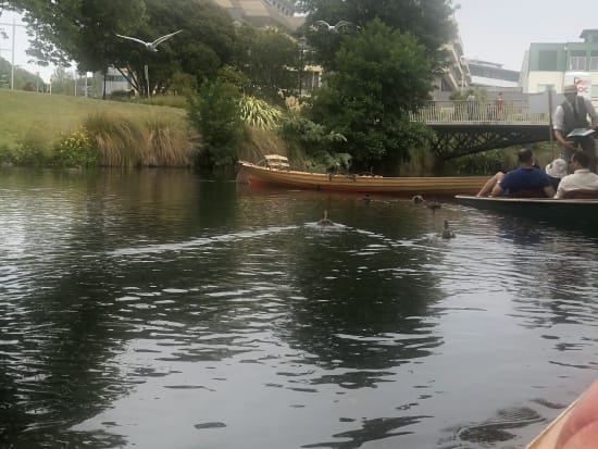 クライストチャーチでパンティング エイボン川を小船で優雅に水上散策！の参加体験談 | ニュージーランド観光・オプショナルツアー予約専門