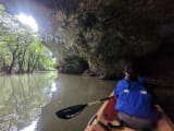 小洞窟からマングローブの森を眺める