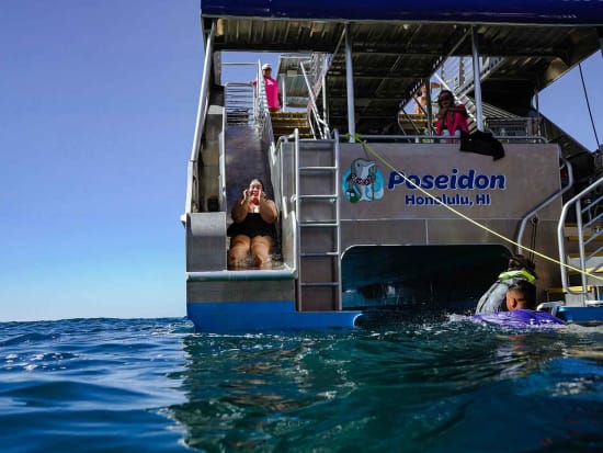 West Oahu Wild Dolphin Swim & Snorkel Tour with Ocean Activities - Iruka  Hawaii tours, activities, fun things to do in Oahu(Hawaii)｜VELTRA