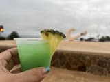 Cheers to a Blue Hawaii!